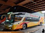 Modasa Zeus 4 / Mercedes Benz O-500RSD / Cruz del Sur