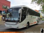 Neobus New Road N10 360 / Mercedes Benz O-500RS / Igi Llaima