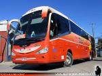 Irizar i6 3.90 / Scania K410 / MT Bus