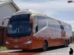 Irizar i6 3.90 / Scania K410 / Pullman Bus