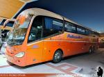 Irizar i6 3.90 / Scania K410 / Pullman Bus
