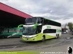 Marcopolo Paradiso New G7 1800DD / Scania K400 / Turbus