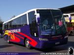 Busscar Vissta Buss LO / Scania K340 / Condor Bus