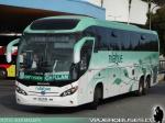 Mascarello Roma 370 / Volvo B420R / Nilahue