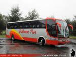 Marcopolo Viaggio 1050 / Volvo B9R / Pullman Sur