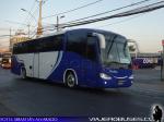 Irizar Century / Mercedes Benz O-500R / Buses Ivergrama