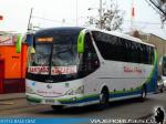 Yutong ZK6129H / Pullman El Huique