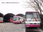 Unidades Pullman Bus - Jota Be / Los Angeles