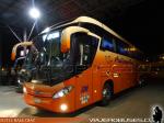 Mascarello Roma 370 / Volvo B420R / Pullman Bus