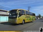 Irizar Century / Mercedes Benz O-500RS / Linatal