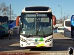 Mascarello Roma 370 / Volvo B420R / Linatal