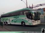 Mascarello Roma 370 / Volvo B420R / Nilahue