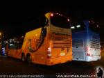 Youngman JPN6137SE / Pullman Bus - Cidher