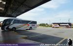 Buses TJM / Terminal Santa Maria - Los Angeles