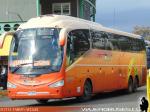 Irizar i6 3.90 / Scania K410 / MT Bus