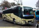 Golden Dragon / Interbus