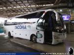 Yutong ZK6129 / Tacoha