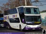 Modasa New Zeus II / Mercedes Benz O-500RSD / Condor Bus