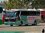 King Long XMQ6130Y / Interbus