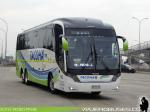 Neobus New Road N10 380 / Scania K400 / Tacoha