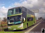 Modasa New Zeus II / Mercedes Benz O-500RSD / Tur-Bus