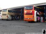 Marcopolo Paradiso 1800DD / Scania K420 / Pullman Contimar - Pullman Los Libertadores