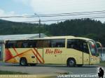 Unidades Mercedes Benz O-500RS / Bio Bio