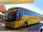 Marcopolo Viaggio 1050 / Scania K380 / Pullman El Huique