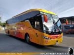 Saldivia New Aries 1200 / Mercedes Benz O-500RS / Interbus