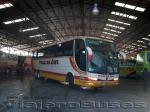 Marcopolo Paradiso 1200 / Volvo B12R / Cruz del Sur