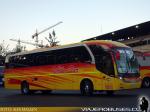 Neobus New Road N10 360 / Mercedes Benz O-500RS / Pullman El Huique