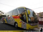 Neobus New Road N10 380 / Scania K400 / Jet Sur