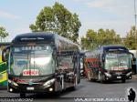 Mascarello Roma 350 / Scania K360 / Londres Bus