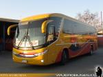 Unidades Marcopolo Viaggio G7 1050 / Pullman Contimar