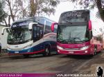 Unidades Comil Campione Invictus / Eme Bus