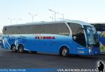 Neobus New Road N10 380 / Scania K400 / Pullman Florida