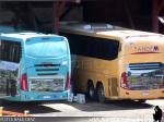 Unidades Mercedes Benz / Queilen Bus por Tandem