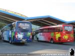 Irizar i6 / Mercedes Benz O-500RS / Bio Bio