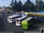 Unidades Irizar / Linea Azul - Chillan