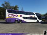 Modasa New Zeus II / Mercedes Benz O-500RSD / Condor Bus