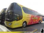 Yangzhou Yaxing YBL6140HPQ / Interbus