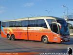 Marcopolo Paradiso G7 1200 / Scania K410 / Pullman Bus