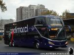 Modasa Zeus 5 / Volvo B450R / Andimar Vip