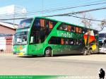 Modasa New Zeus II / Volvo B11R / Linatal