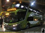 Marcopolo Paradiso G7 1800DD / Volvo B420R / Pullman Bus