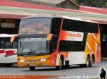 Modasa Zeus 3 / Volvo B420R / Pullman Bus