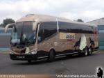 Unidades Moraga Tour - Buses Rios / Primeros servicios Curicó - Santiago - Curicó
