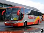 Marcopolo Viaggio 1050 / Volvo B9R / Pullman Sur