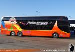 Youngman JPN6137 / Pullman Bus