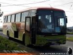 Comil Campione 3.25 / Mercedes Benz OF-1722 / Hualaihue Bus Especial Kemel Bus